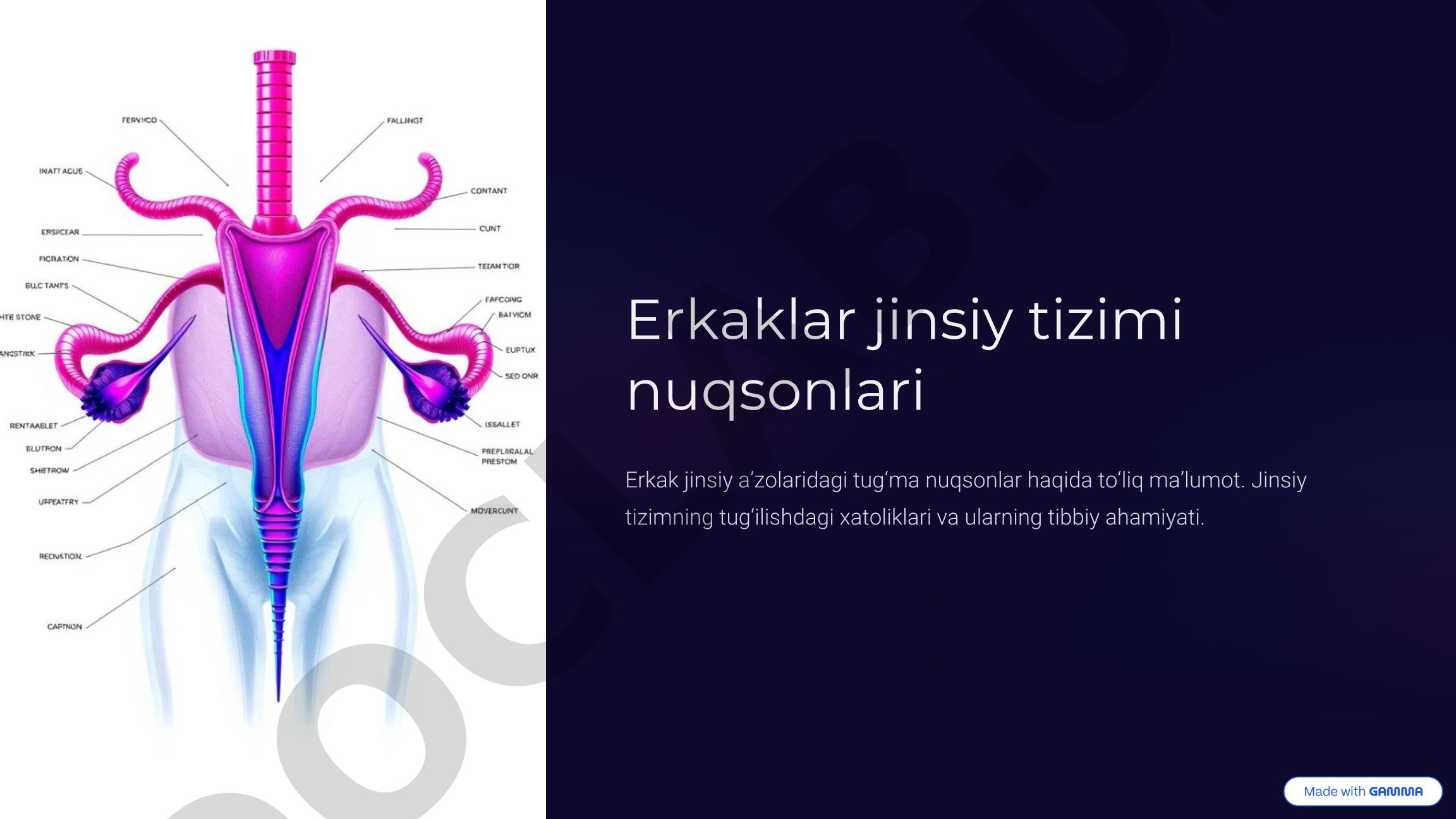 Erkaklar jinsiy tizimi nuqsonlari
