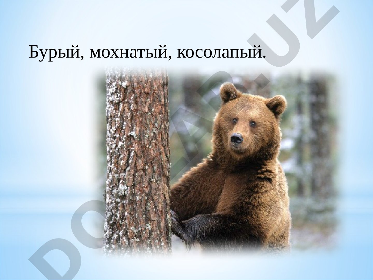 Имя прилагательное как часть речи