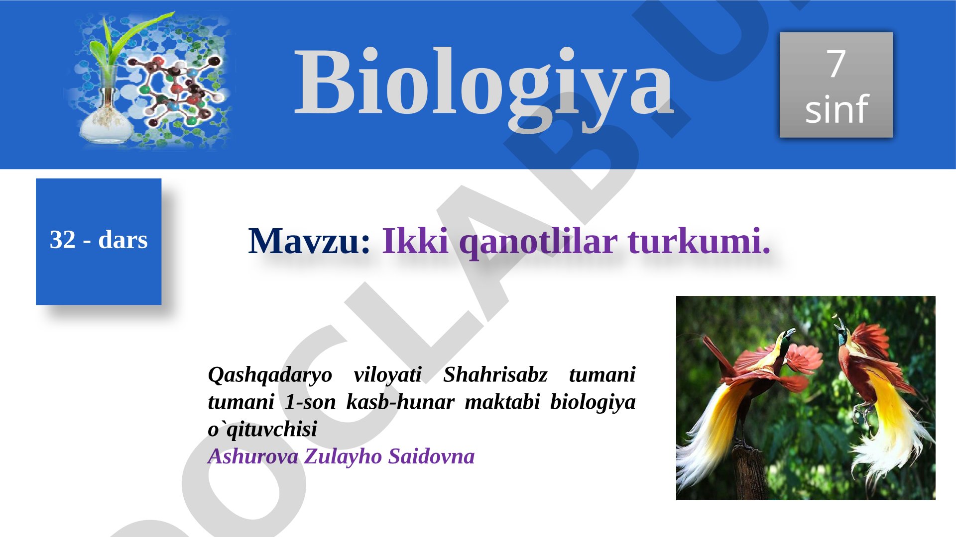 Ikki qanotlilar turkumi