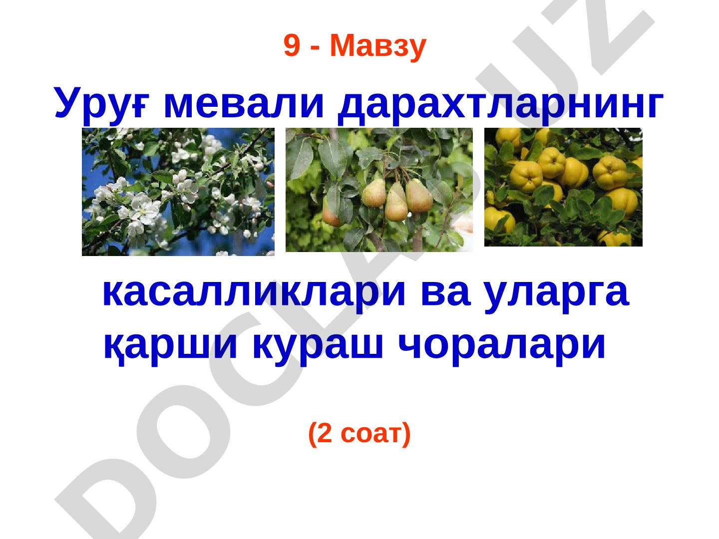 Уруғ мевали дарахтларнинг касалликлари ва уларга қарши кураш чоралари