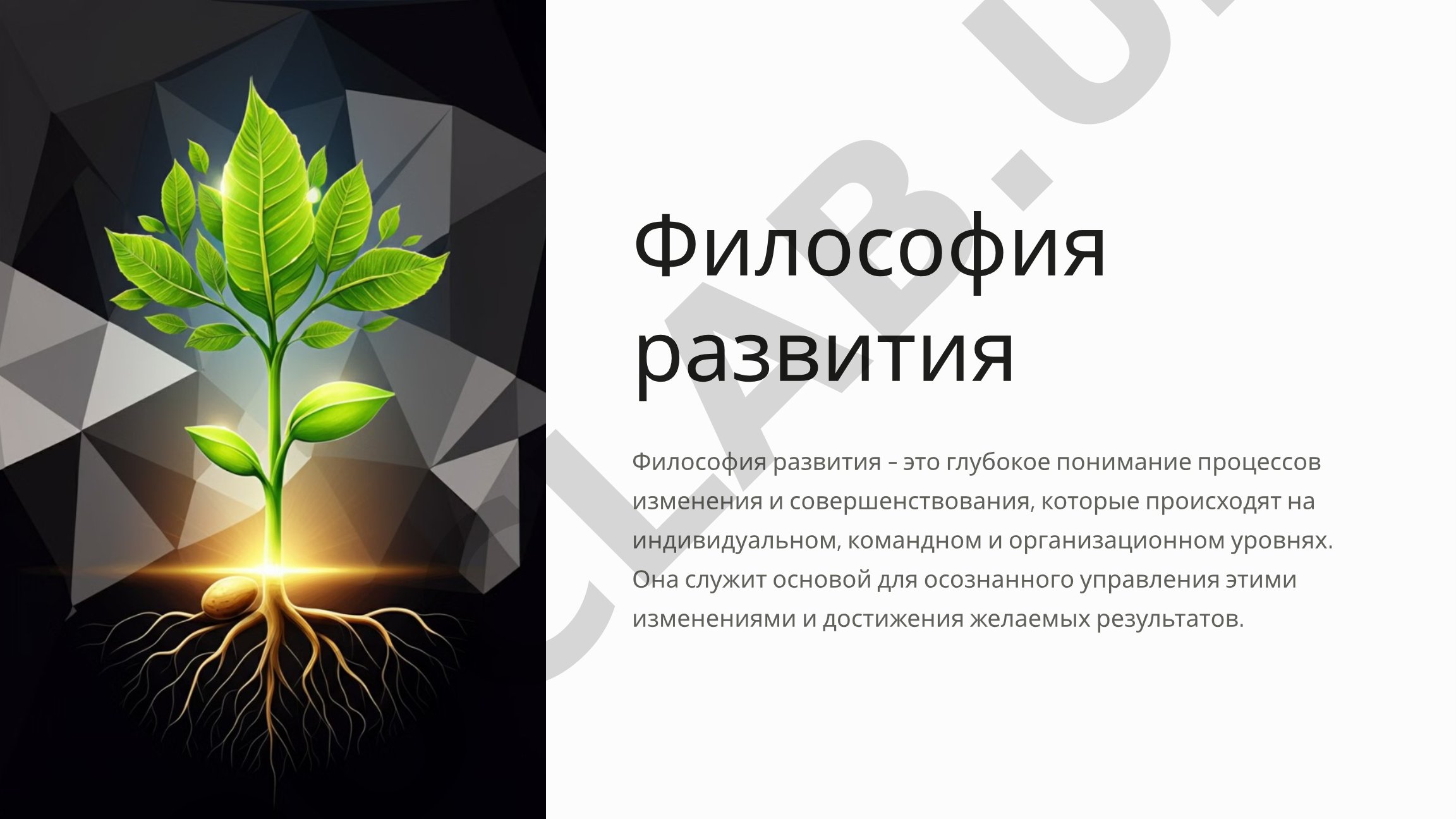 Философия развития