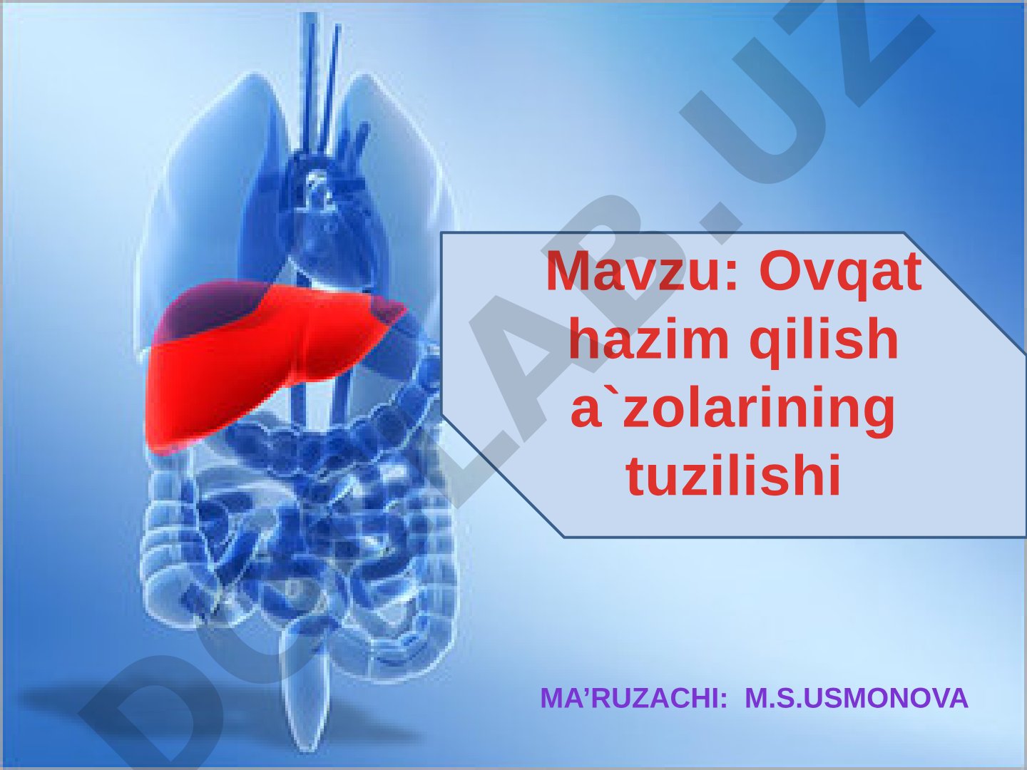 Ovqat hazim qilish a`zolarining tuzilishi