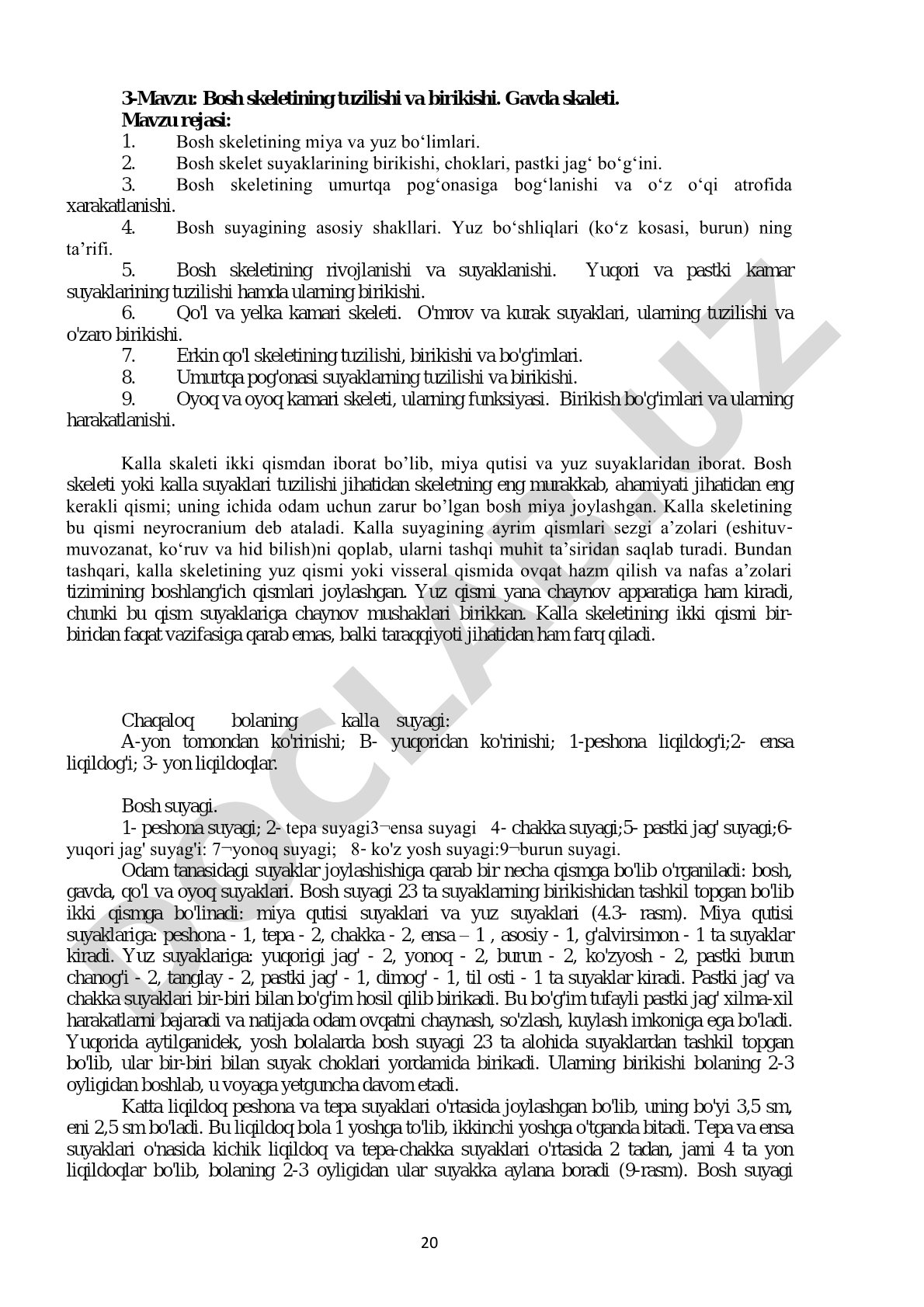 Bosh skeletining tuzilishi va birikishi. Gavda skaleti