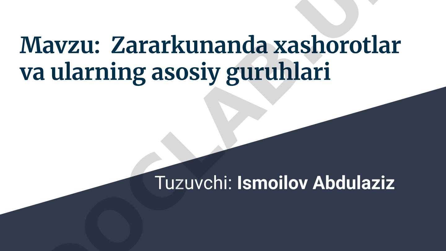 Zararkunanda xashorotlar va ularning asosiy guruhlari