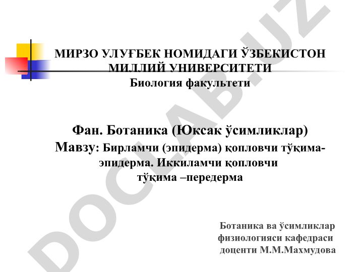Бирламчи (эпидерма) қопловчи тўқима-эпидерма ва иккиламчи қопловчи тўқима –передерма