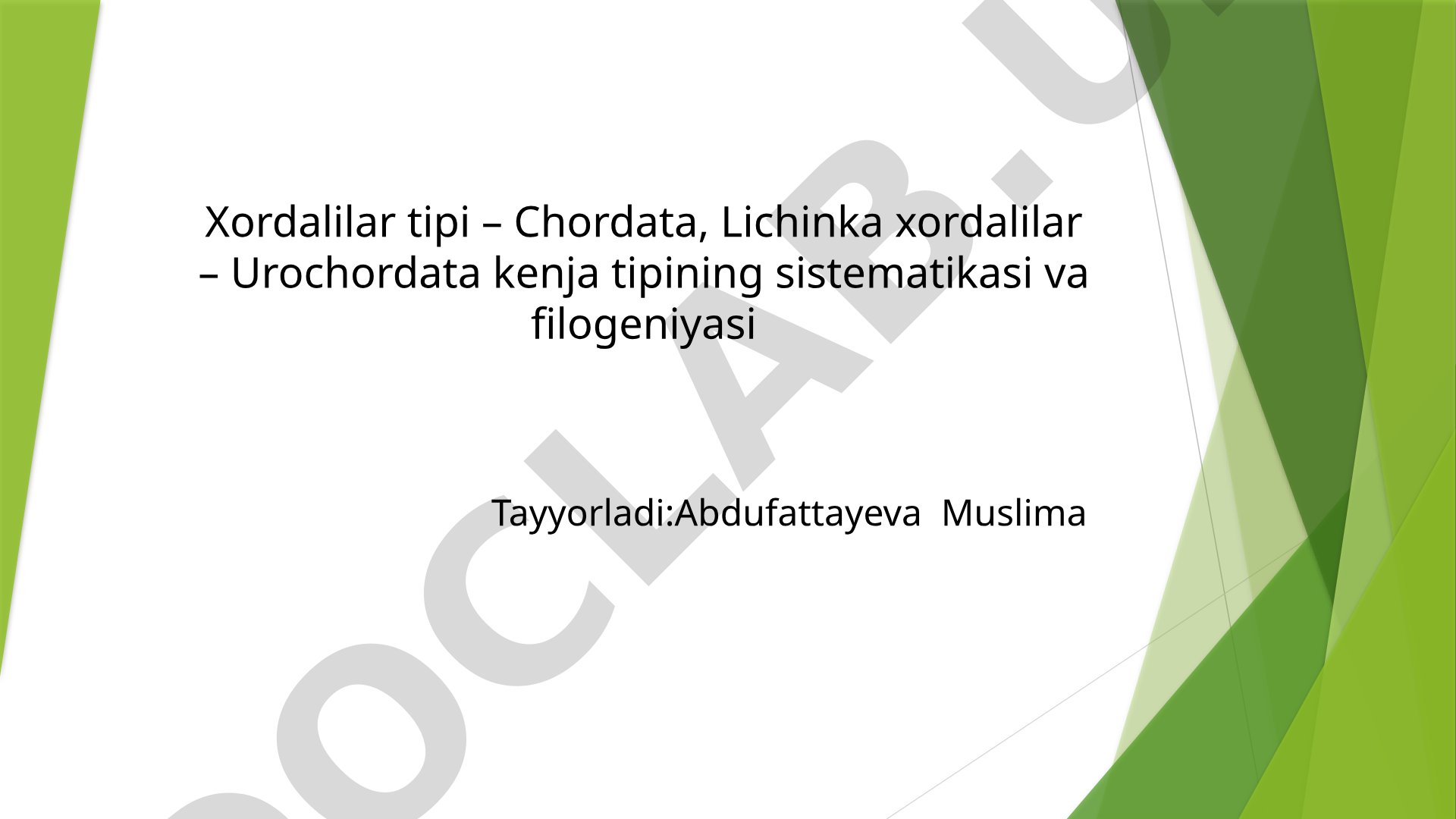 Xordalilar tipining umumiy tavsifi va Urochordata kenja tipining sistematikasi
