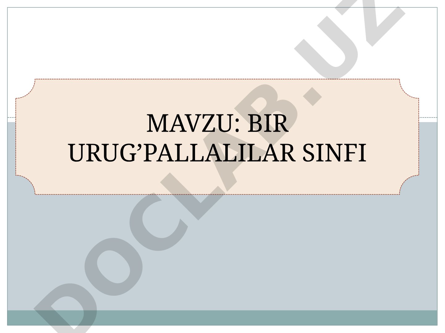 Bir urug‘pallalilar sinfi