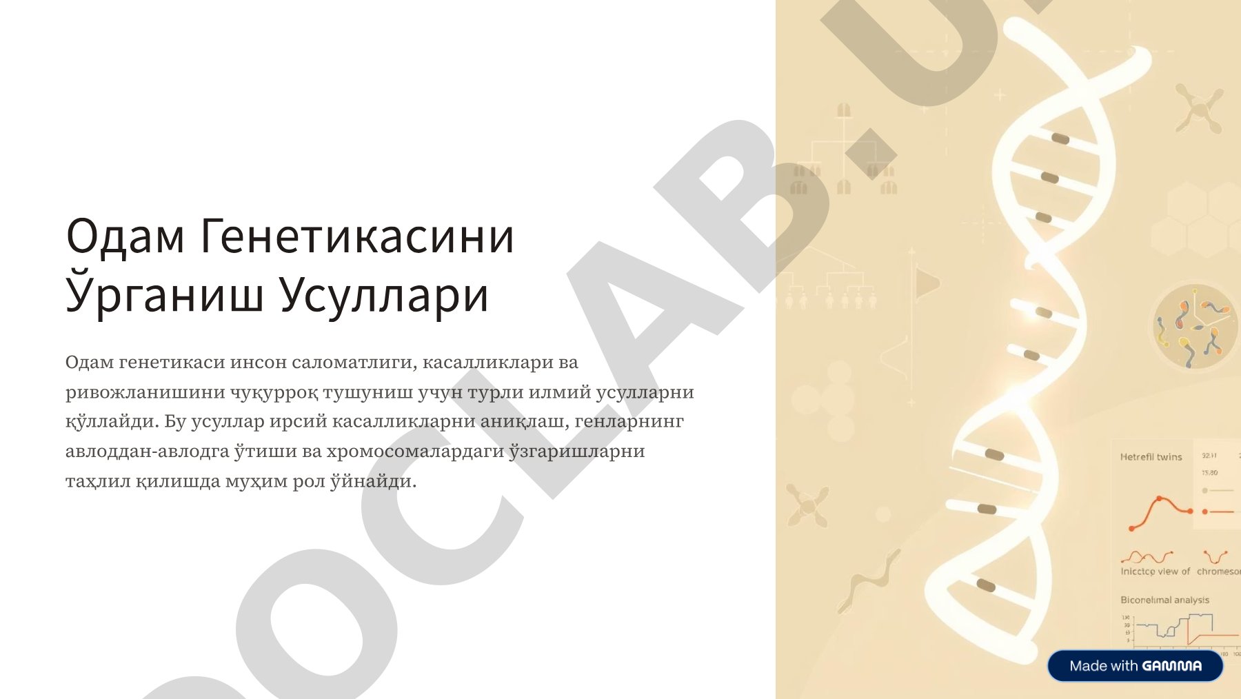 Matematika asoslari bo'yicha ma'ruza matni