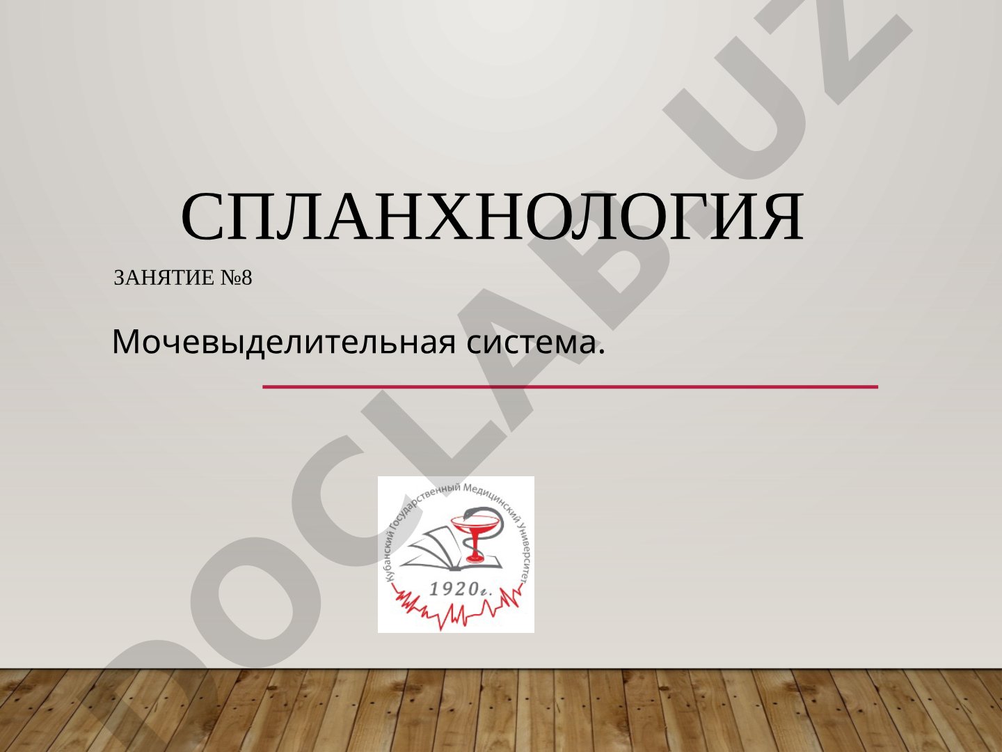 спланхнология Занятие №8 Мочевыделительная система