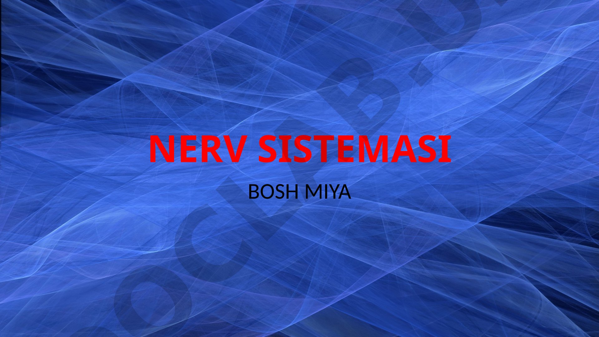Bosh miya qismlari va funksiyalari