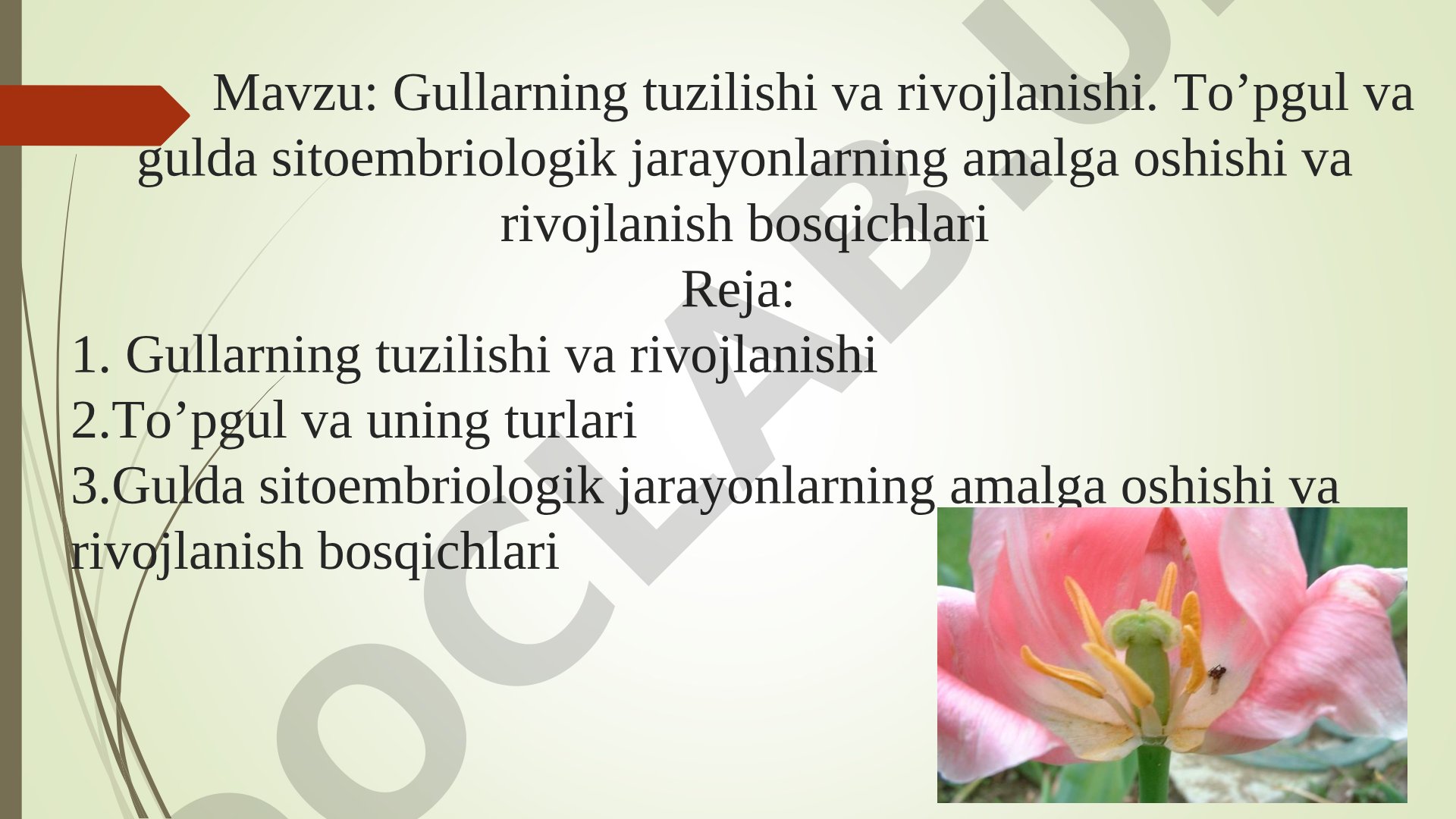 Gullarning tuzilishi va rivojlanishi. To’pgul va gulda sitoembriologik jarayonlarning amalga oshishi va rivojlanish bosqichlari