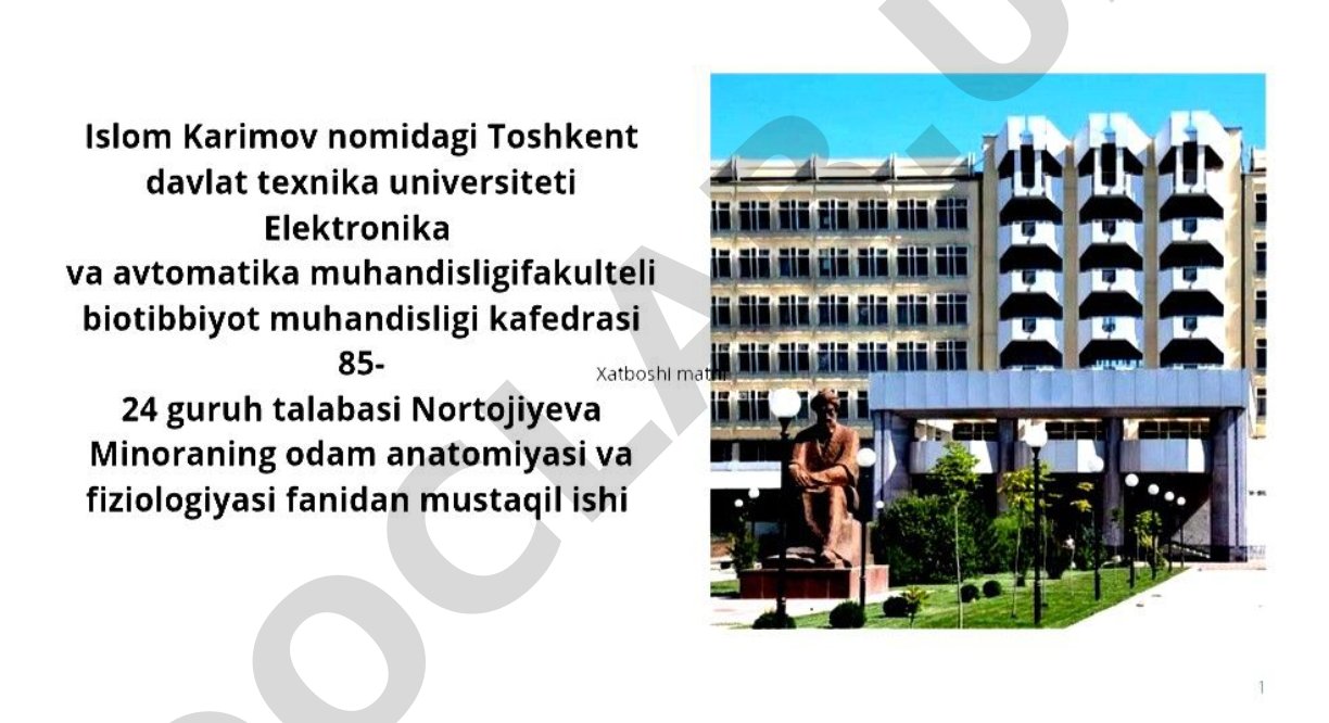 Odam anatomiyasi va fiziologiyasi