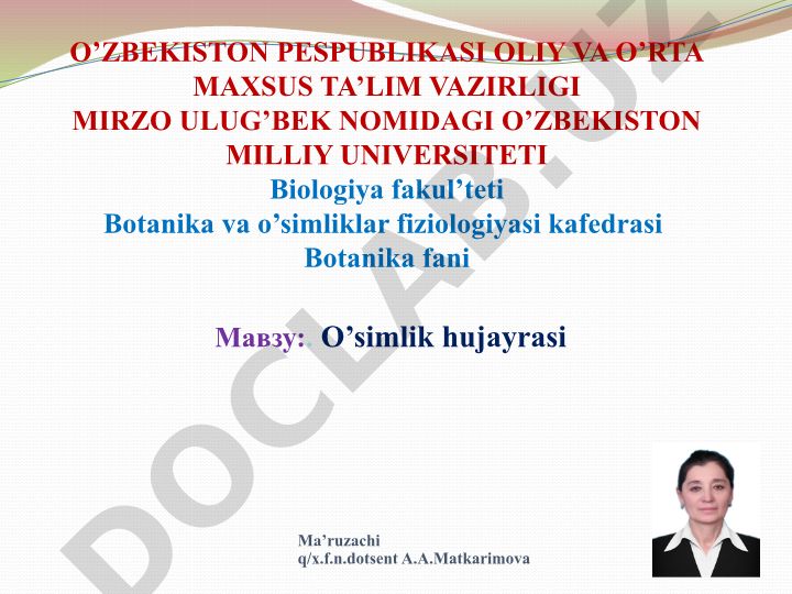 O'simlik hujayrasi
