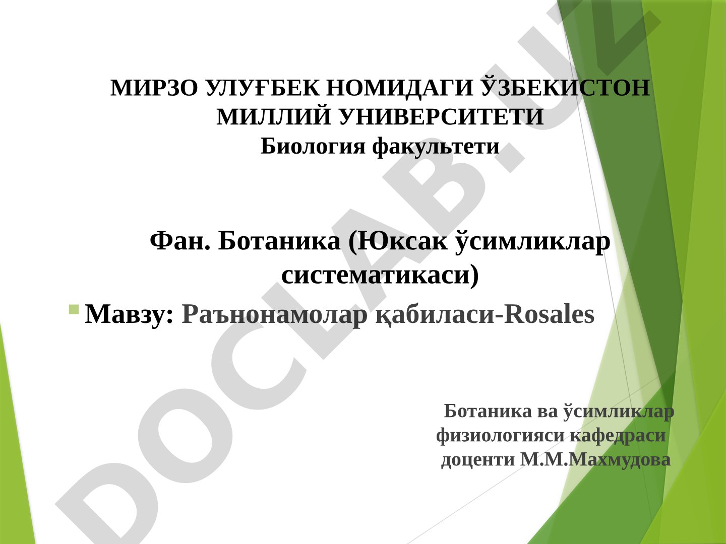 Раънонамолар қабиласи-Rosales