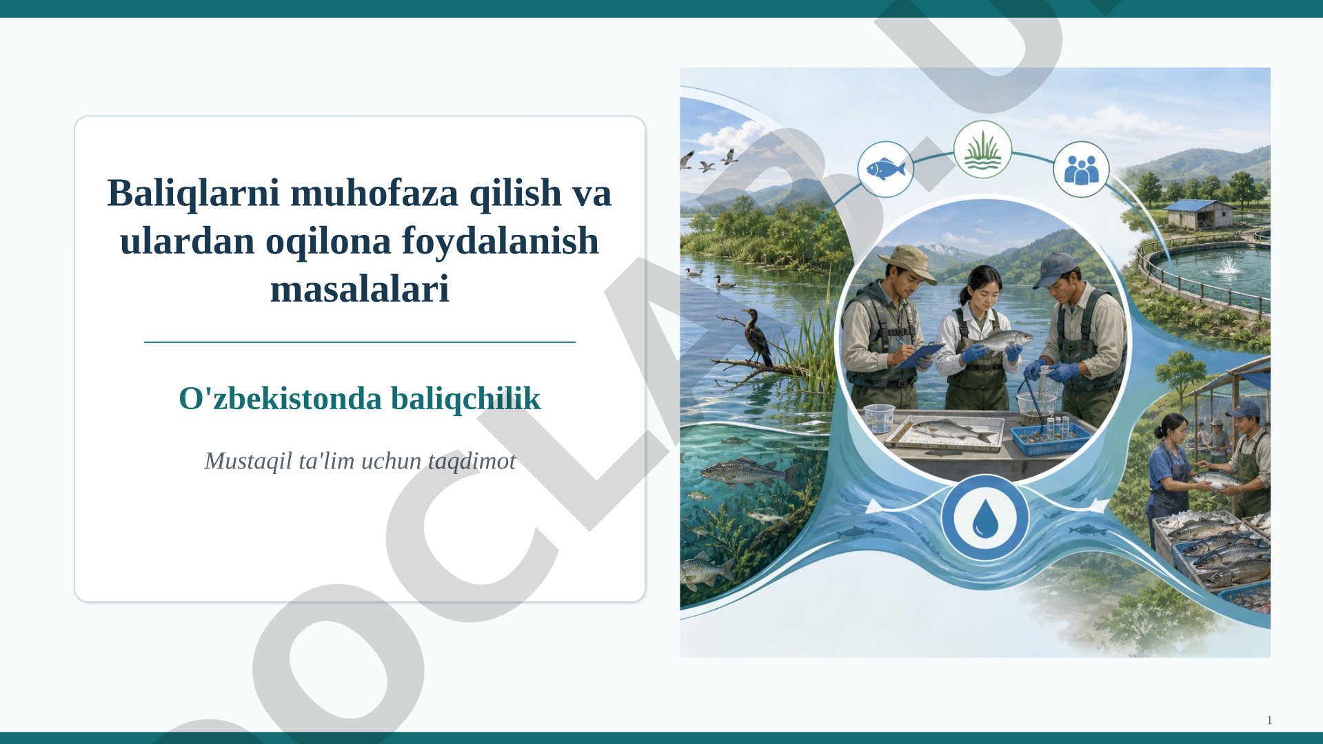 Baliqlarni muhofaza qilish va O'zbekistonda baliqchilik