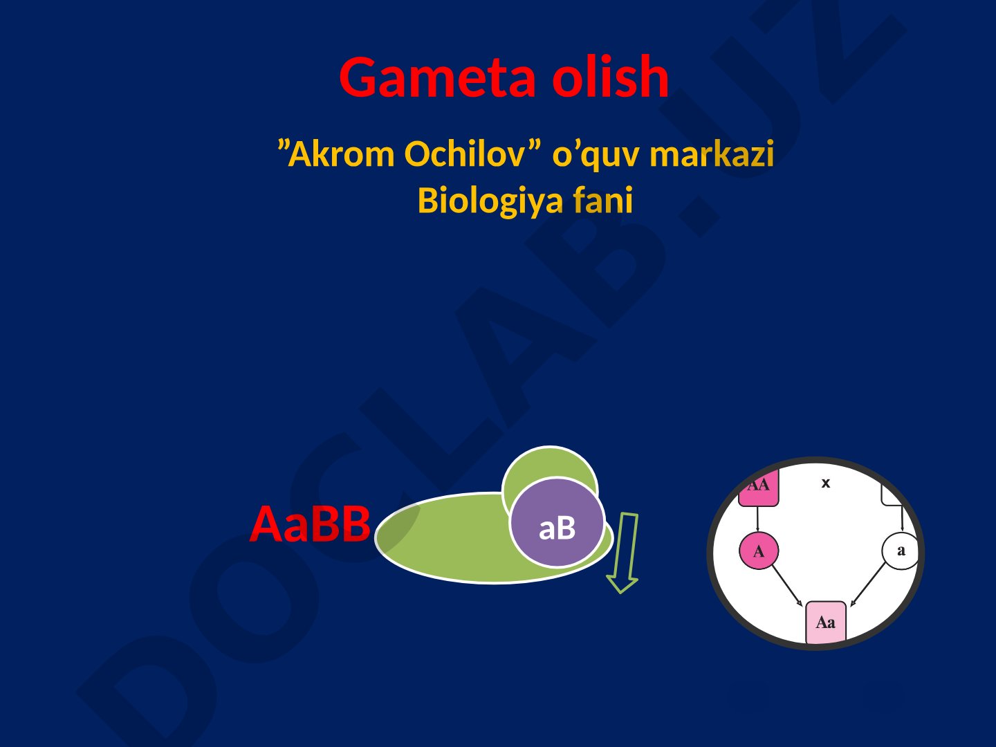 Gameta olish va genetika asoslari