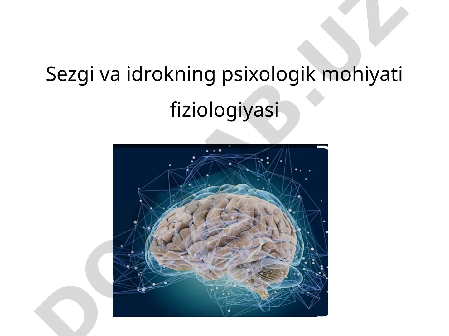 Sezgi va idrokning psixologik mohiyati fiziologiyasi