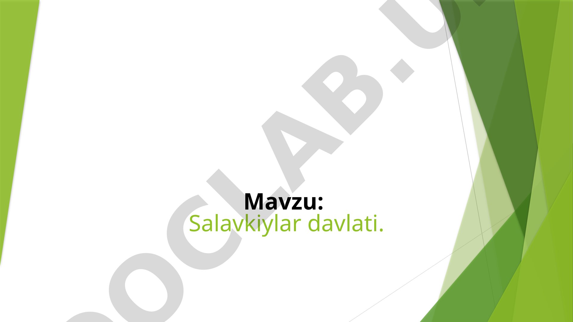 Salavkiylar davlati