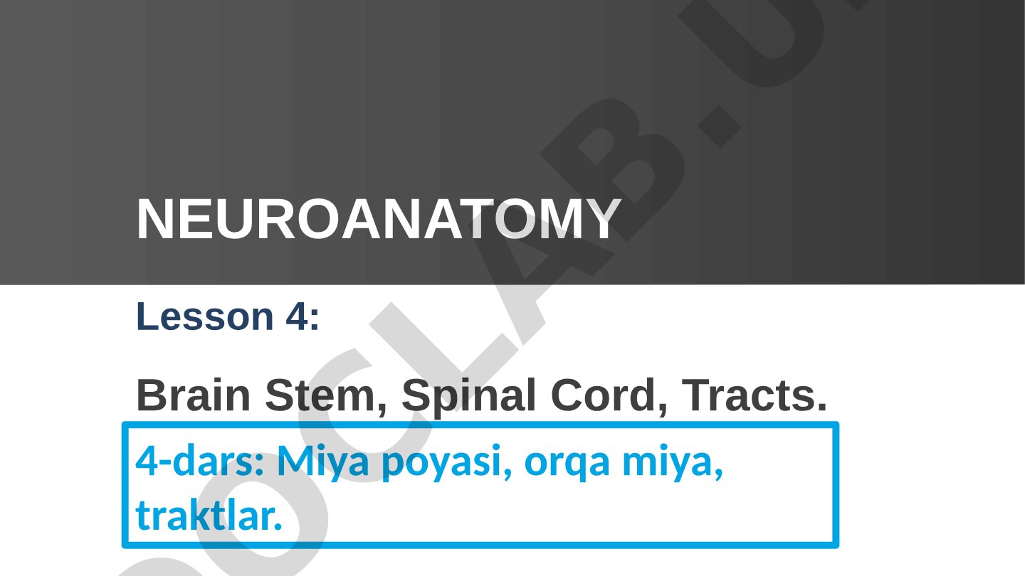 Lesson 4: Brain Stem, Spinal Cord, Tracts