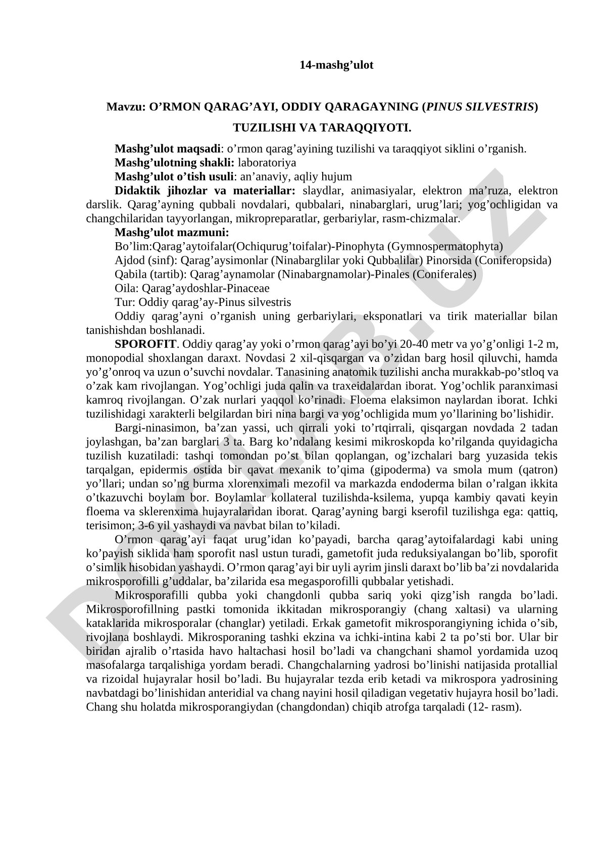 O’RMON QARAG’AYI, ODDIY QARAGAYNING (PINUS SILVESTRIS) TUZILISHI VA TARAQQIYOTI
