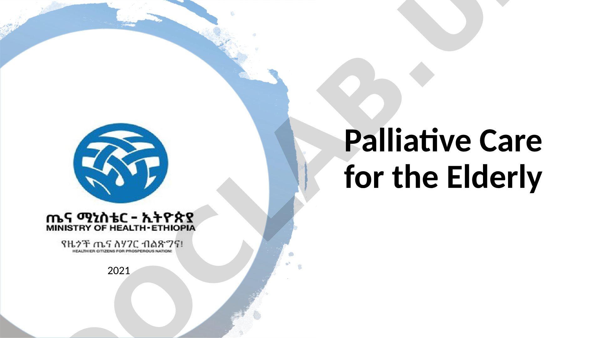 Palliative Care for the Elderly 2021