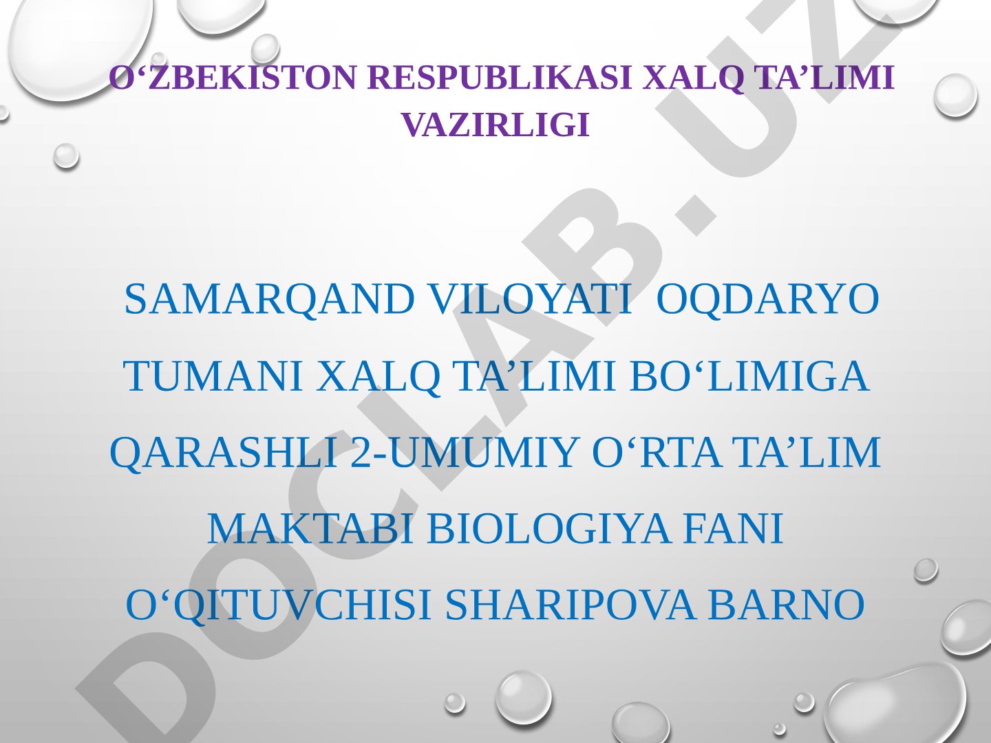 Itning ichki tuzulishi