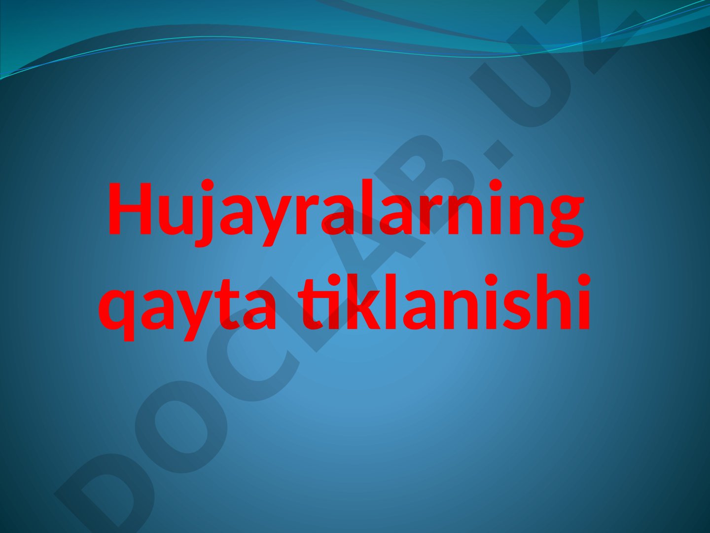 Hujayra sikli va mitoz bosqichlari