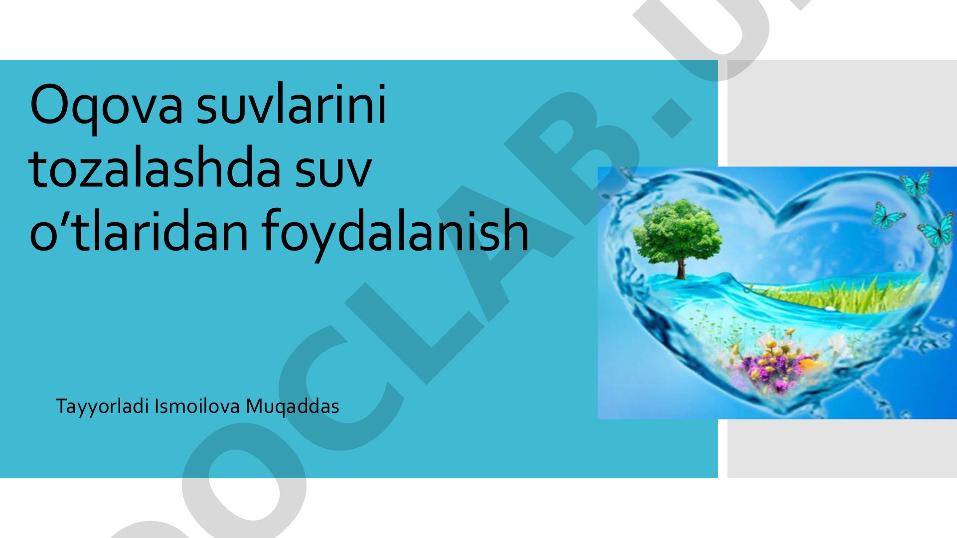 Oqova suvlarini tozalashda suv o’tlaridan foydalanish