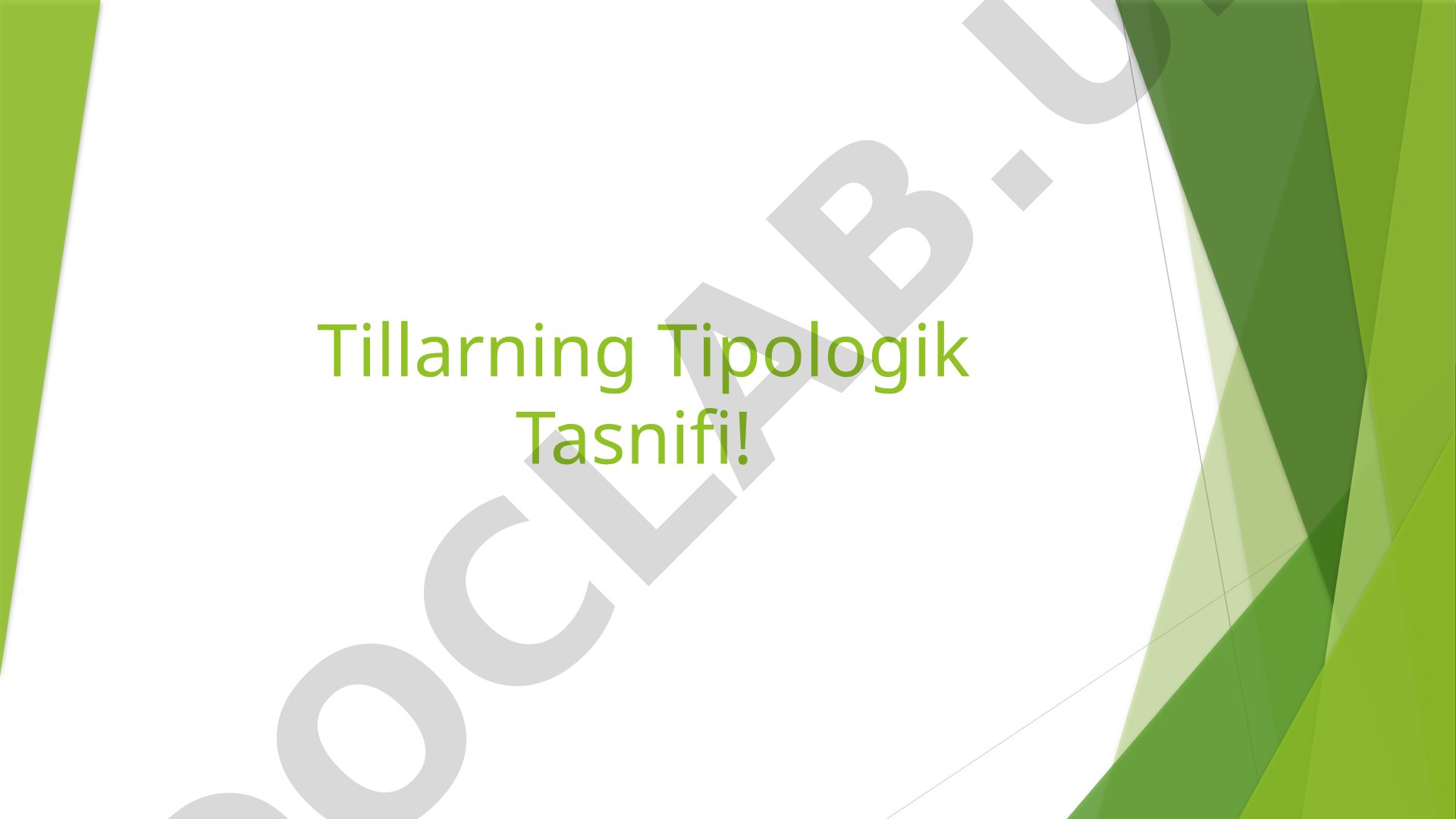 Tillar tipologiyasi va ularning morfologik tasnifi turlari haqida