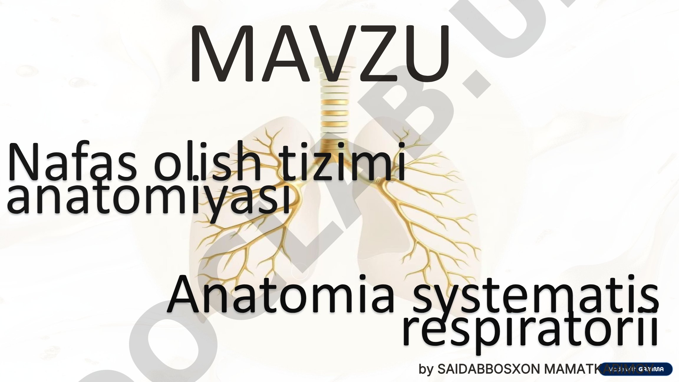 Nafas olish tizimi anatomiyasi