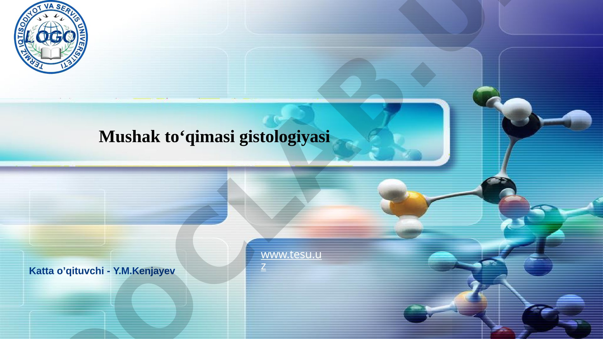 Muskul to'qimasi gistologiyasi