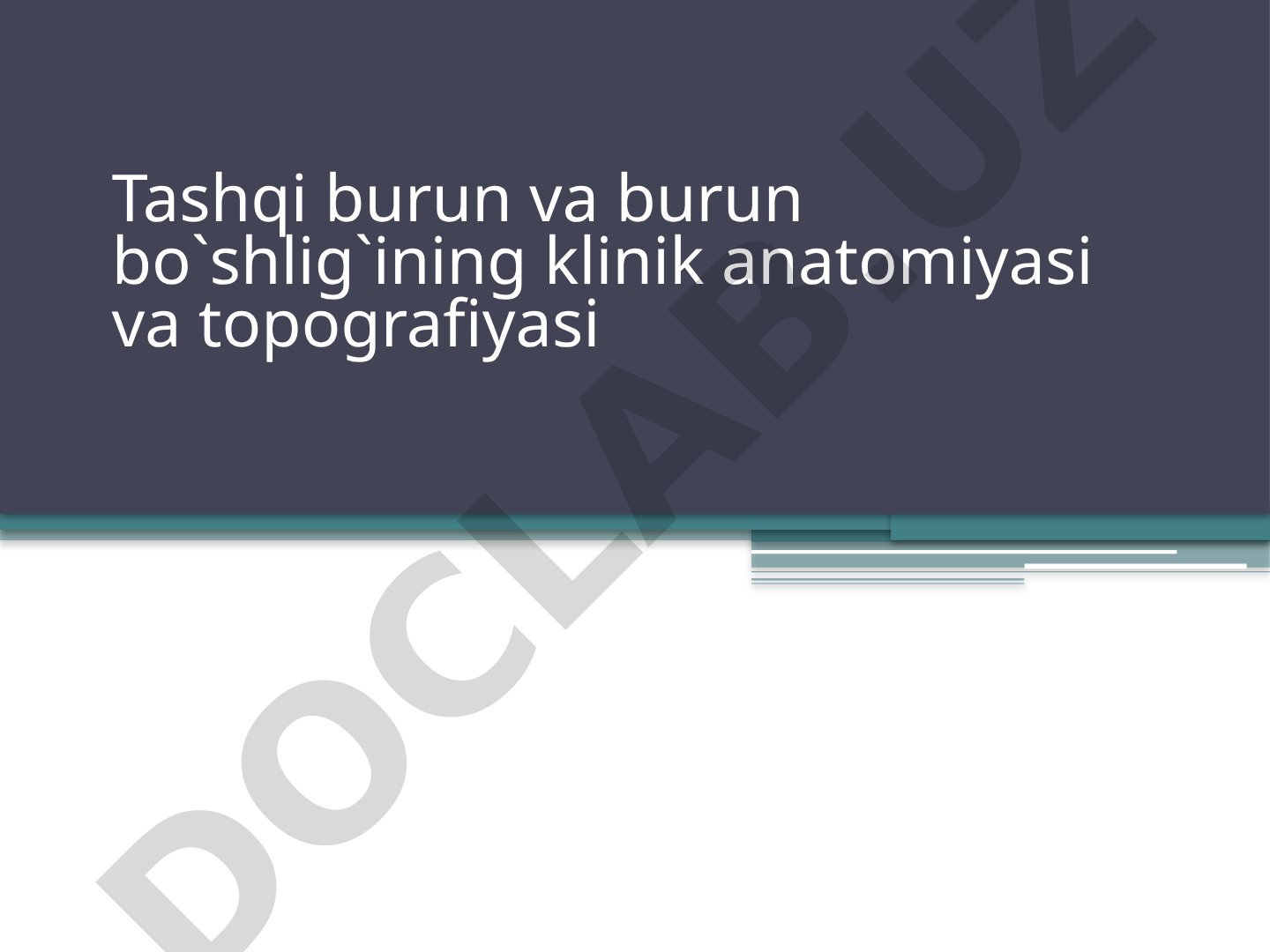Tashqi burun va burun bo'shlig'ining klinik anatomiyasi va topografiyasi