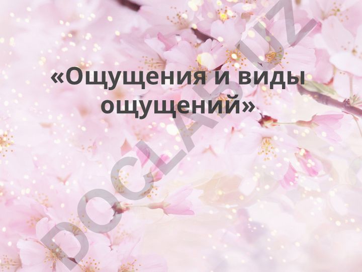 Ощущения и виды ощущений