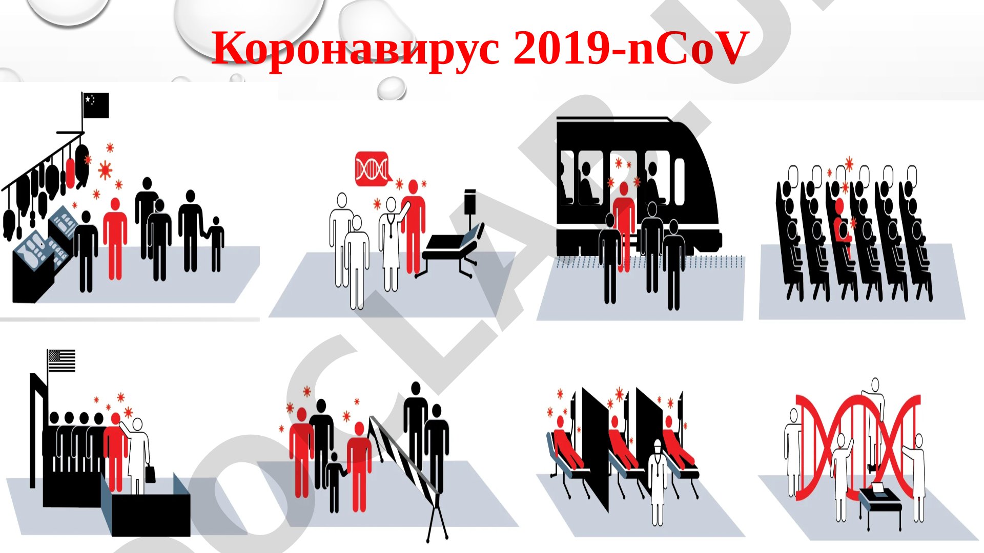 Коронавирус 2019-nCoV этиологияси, юқиш хусусиятлари ва клиник ўзгаришлар
