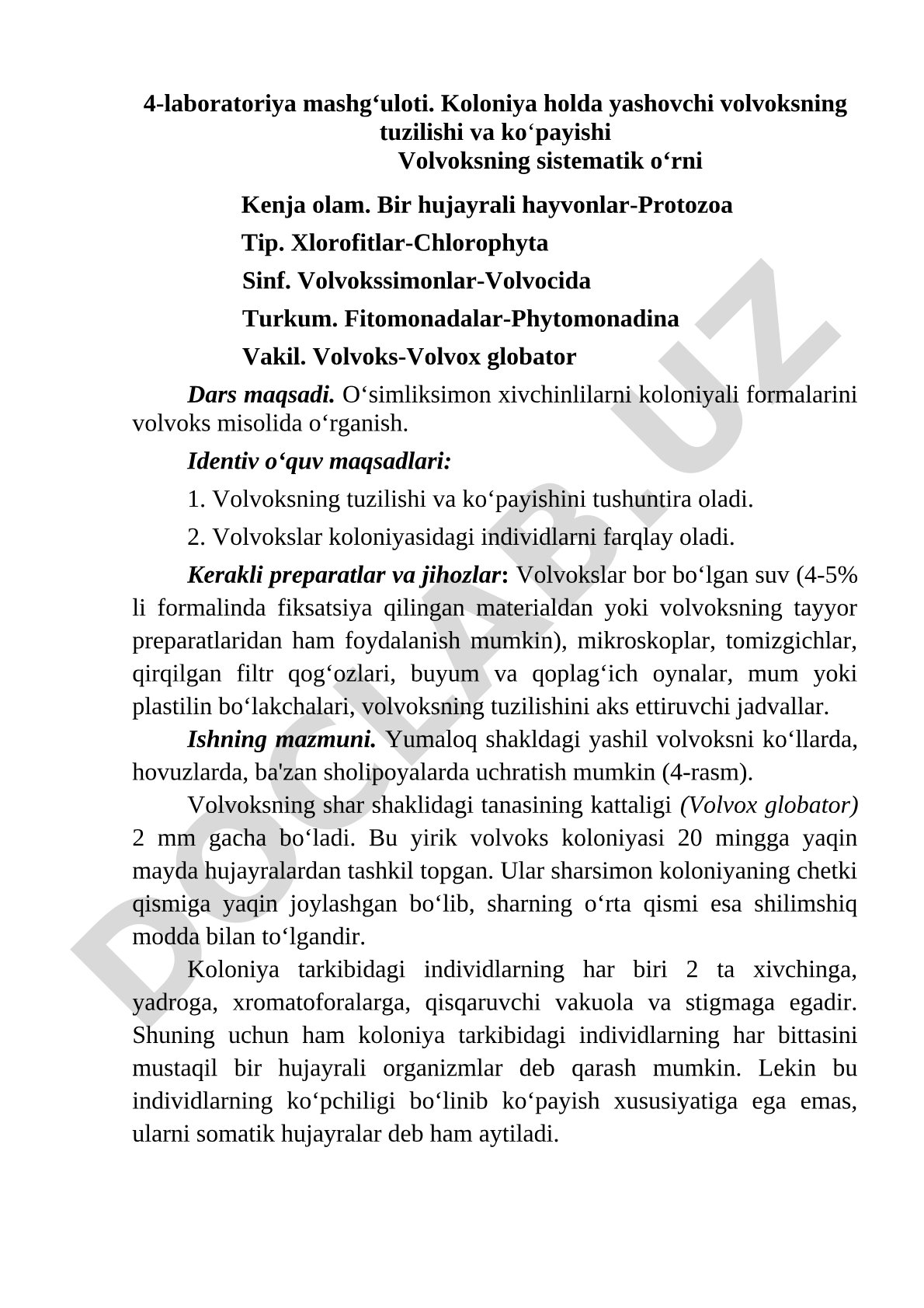Koloniya holda yashovchi volvoksning tuzilishi va ko‘payishi