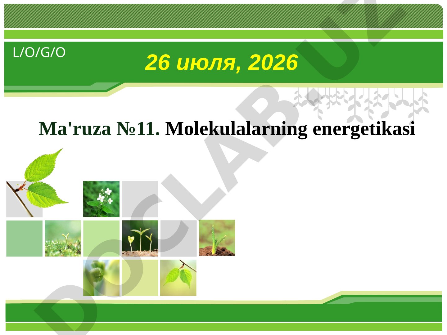Molekulalarning energetikasi