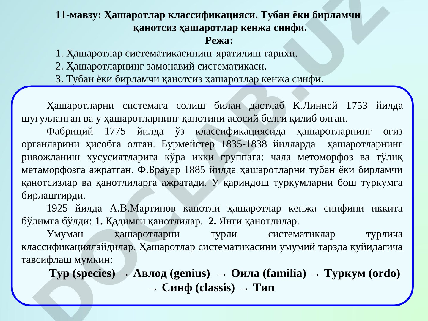 Ҳашаротлар классификацияси. Тубан ёки бирламчи қанотсиз ҳашаротлар кенжа синфи
