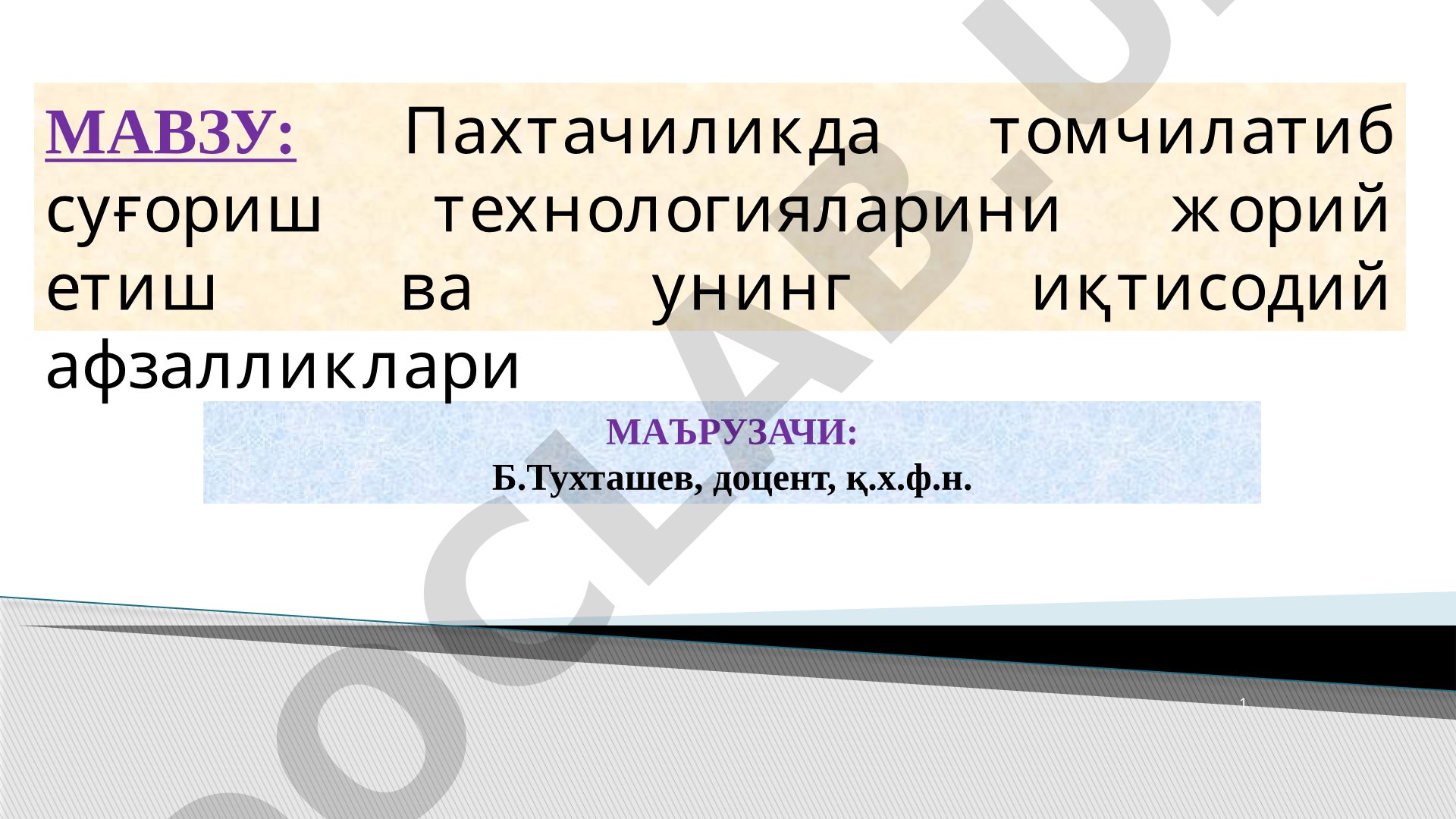 Пахтачиликда томчилатиб суғориш технологияларини жорий етиш ва унинг иқтисодий афзалликлари