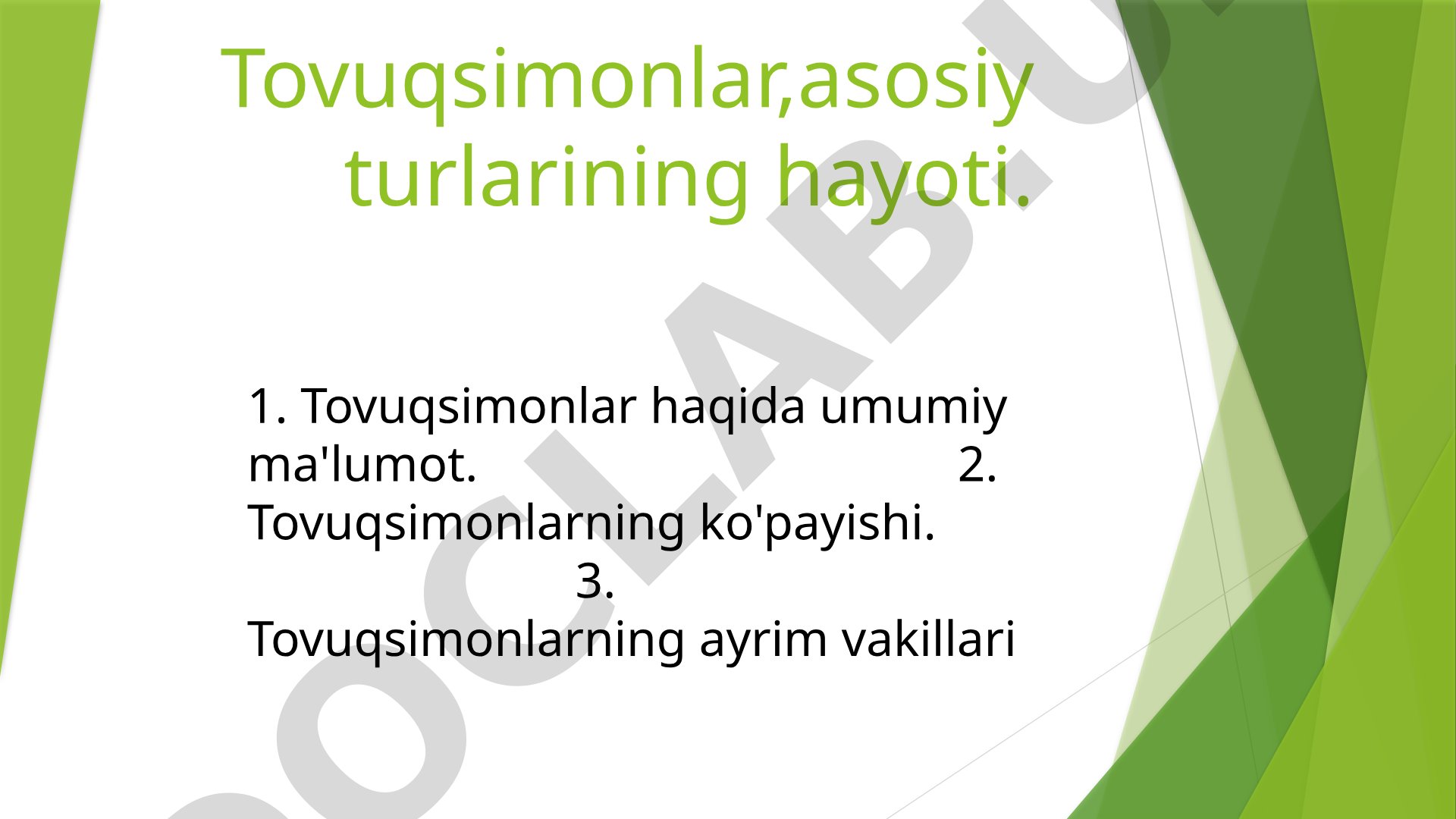 Tovuqsimonlar,asosiy turlarining hayoti.