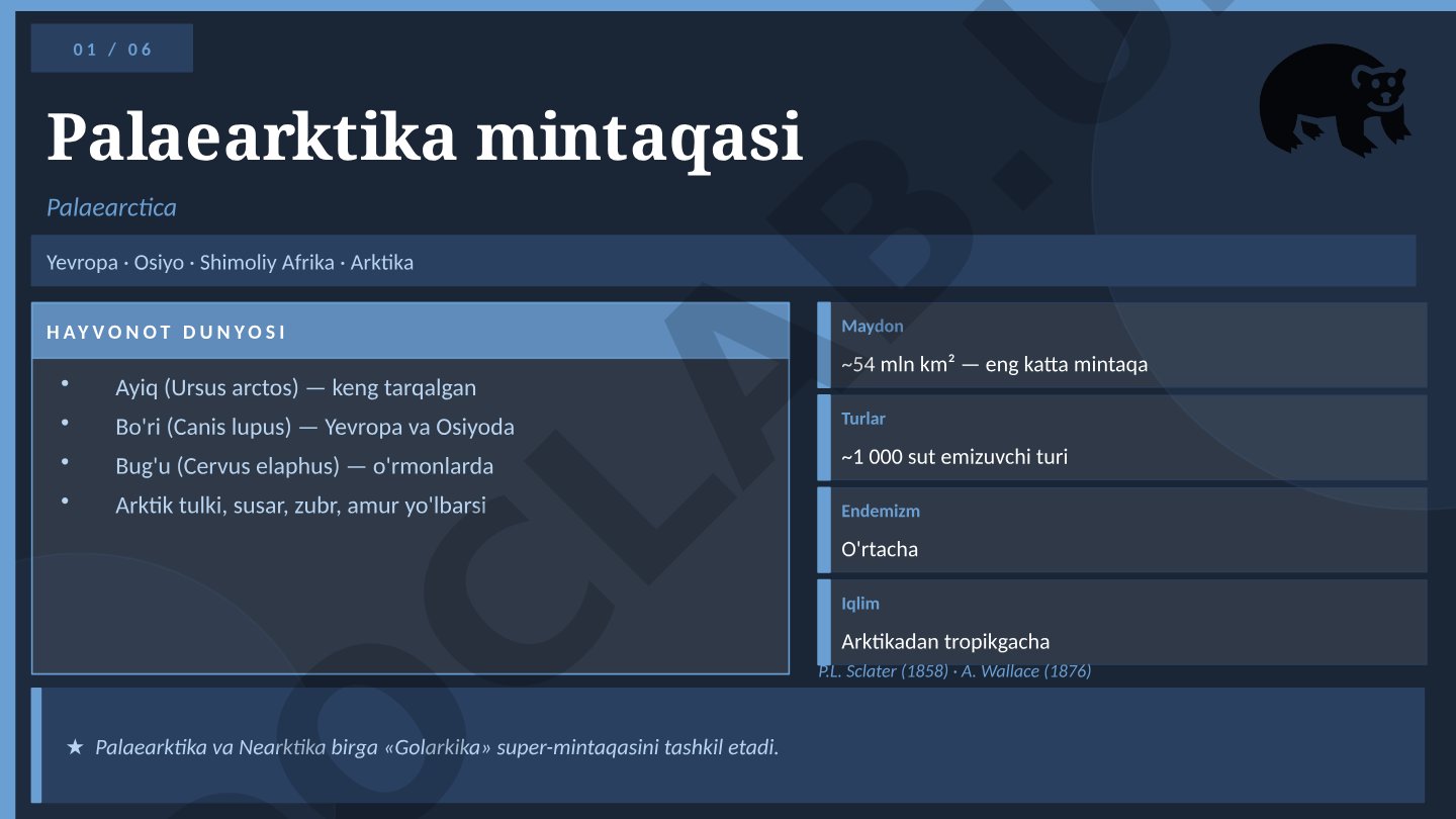 Palaearktika va Nearktika mintaqalari hayvonot dunyosi