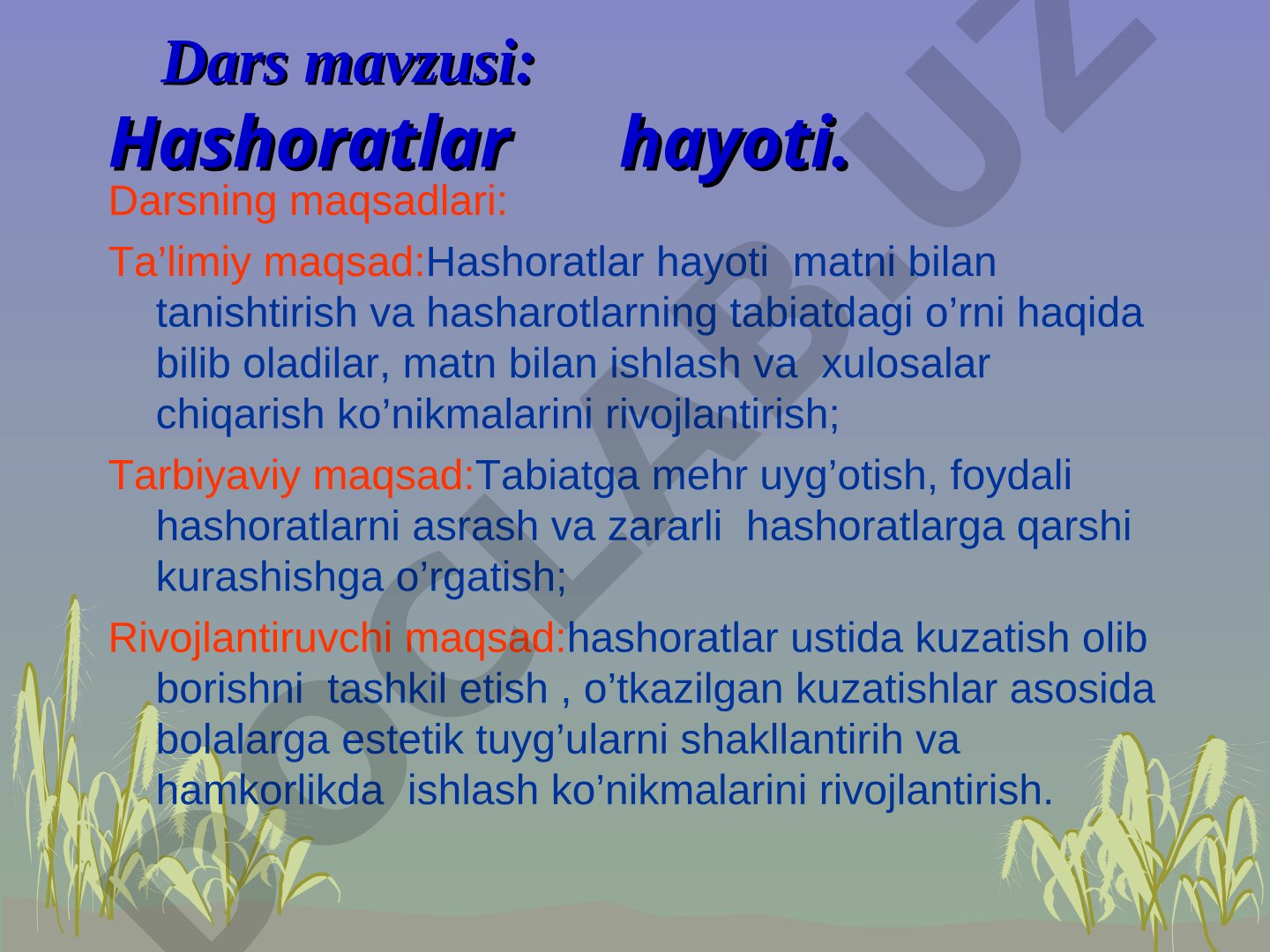 Hashoratlar hayoti