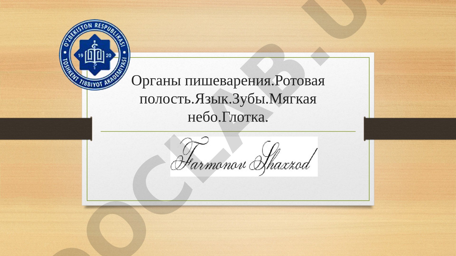 Органы пищеварения: ротовая полость, язык, зубы, глотка