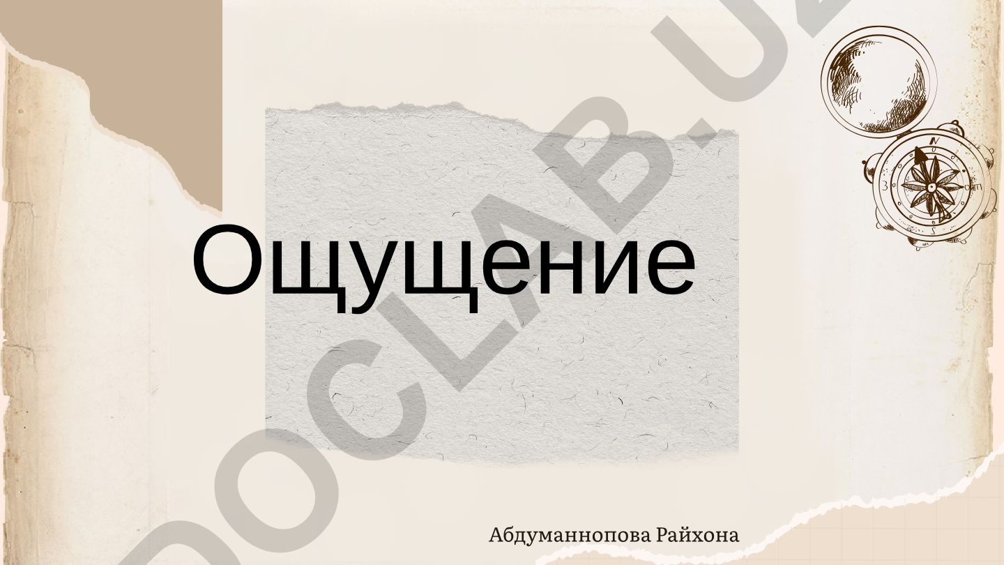Ощущение как психический процесс и его виды
