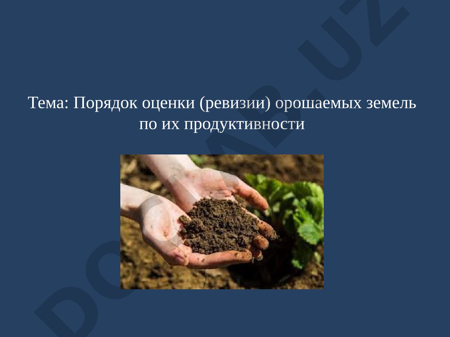Порядок оценки (ревизии) орошаемых земель по их продуктивности