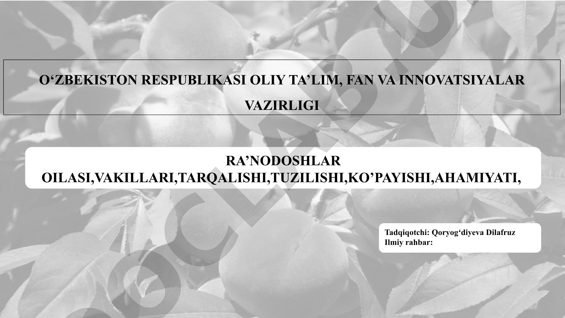 Ra’nodoshlar oilasi, vakillari, tarqalishi, tuzilishi, ko’payishi, ahamiyati