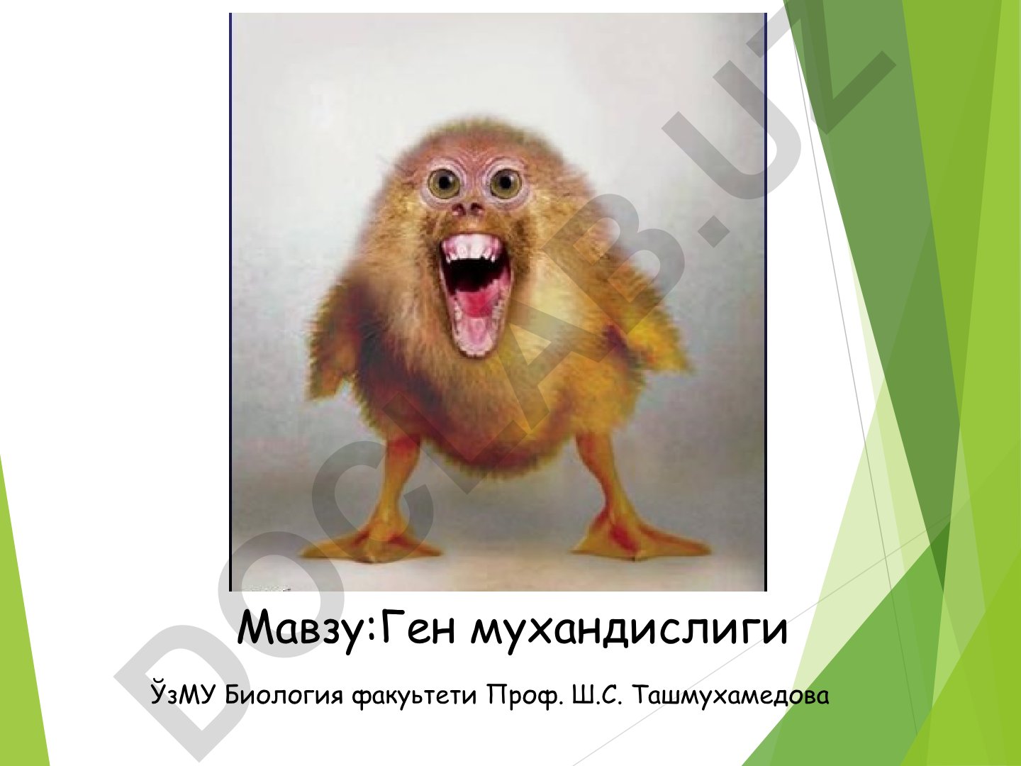 Ген мухандислиги
