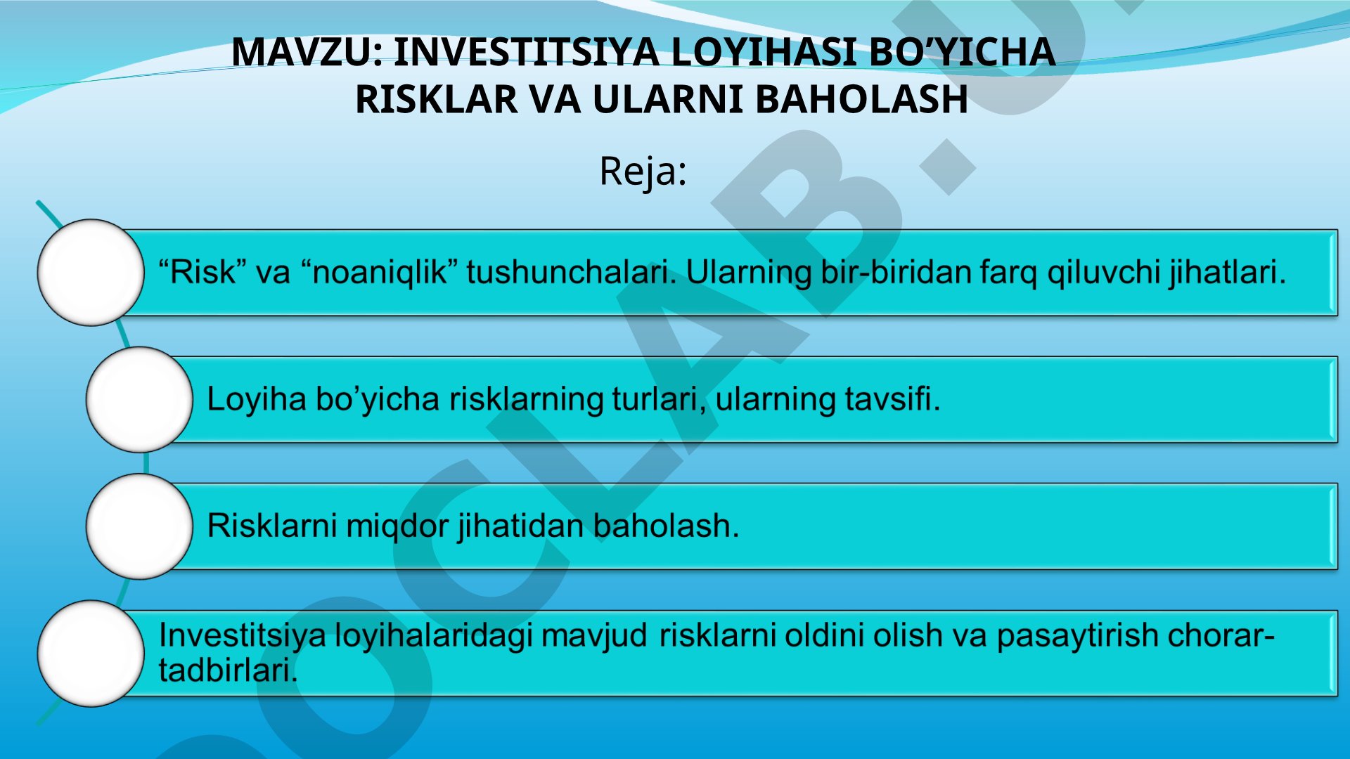 Investitsiya loyihasi bo'yicha risklar va ularni baholash