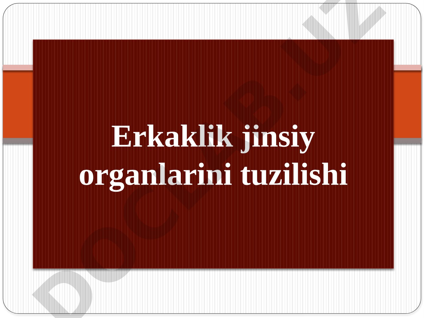 Erkaklik jinsiy organlarini tuzilishi