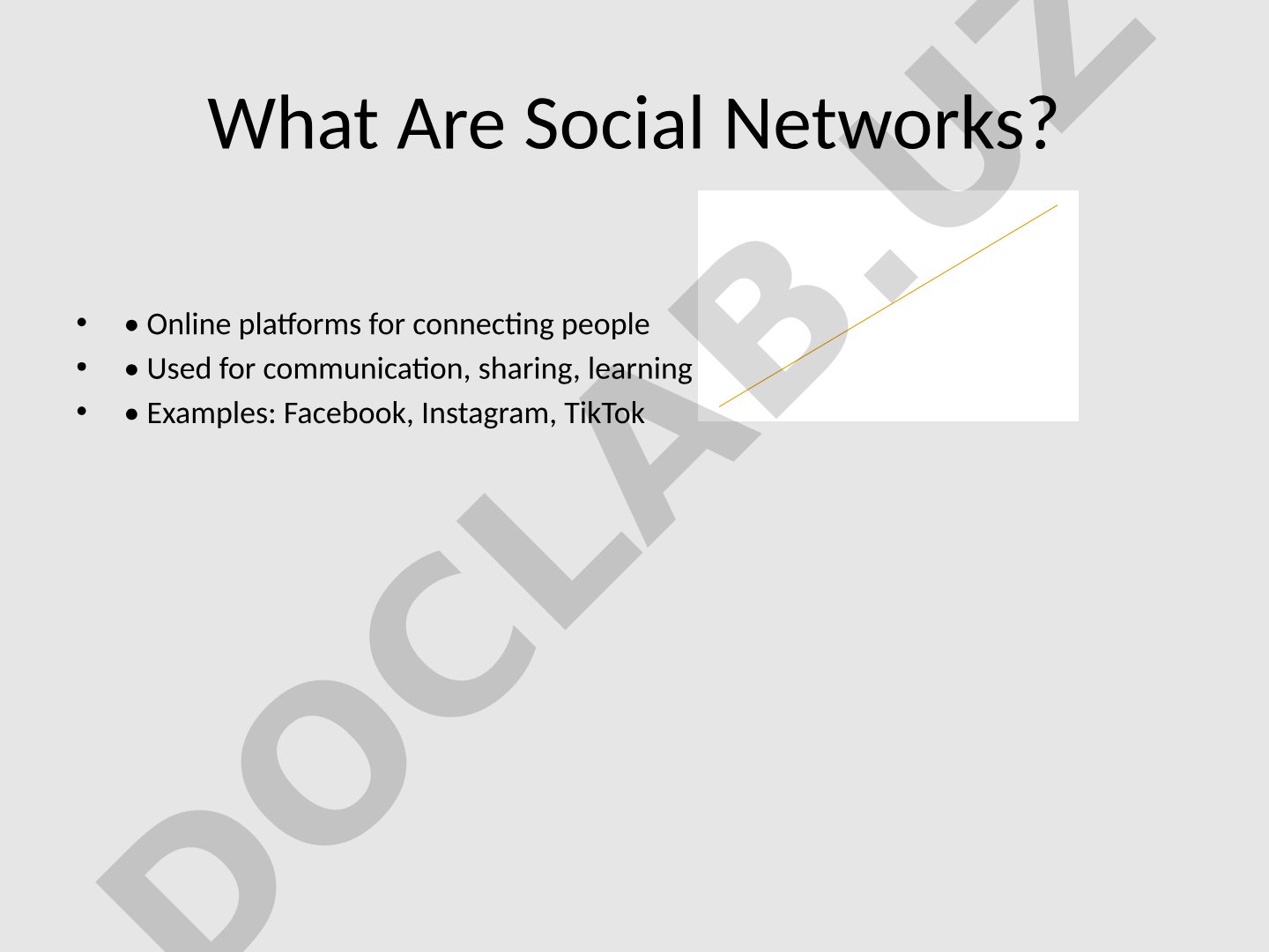 What Are Social Networks?