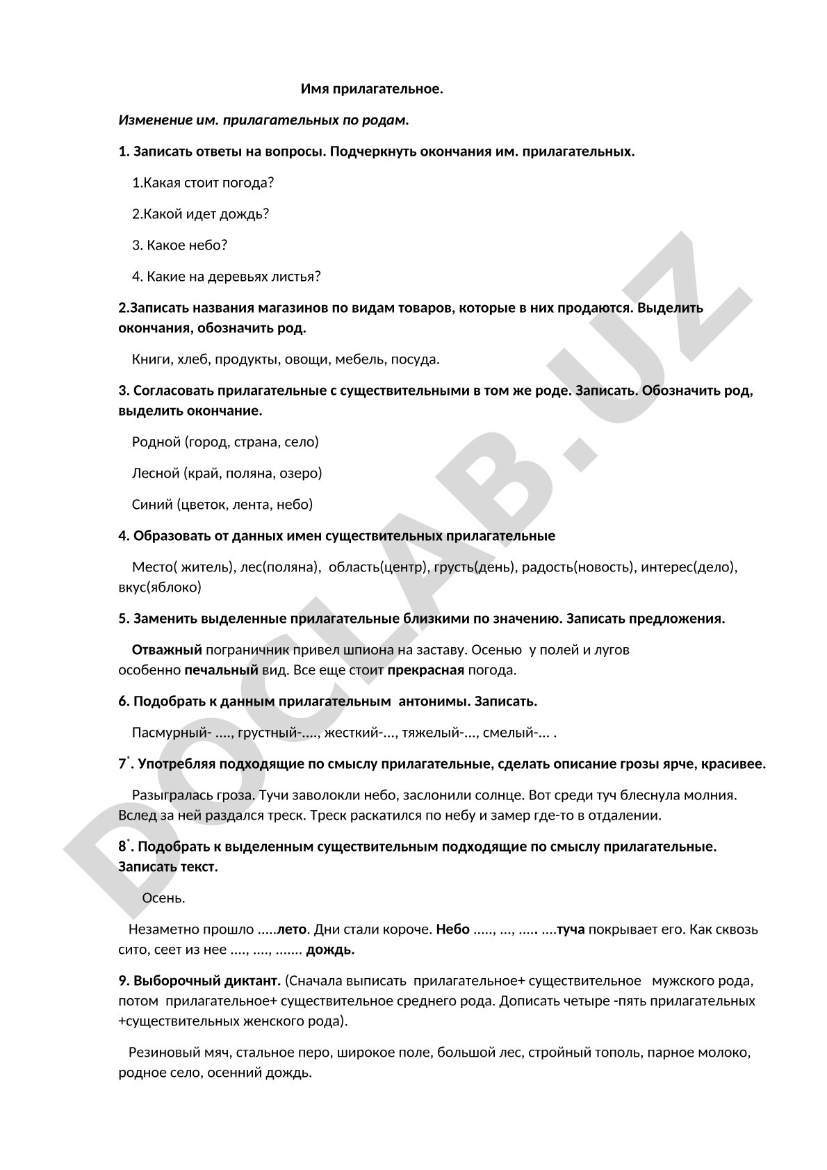 Имя прилагательное. Изменение им. прилагательных по родам